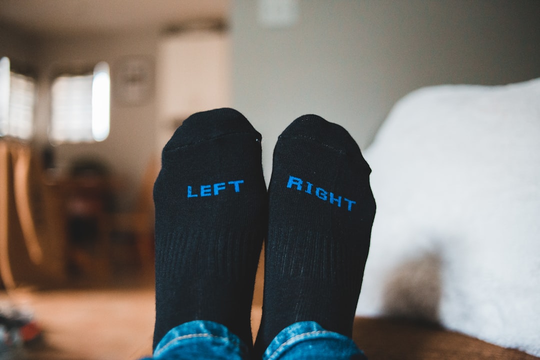 Alt text for the image